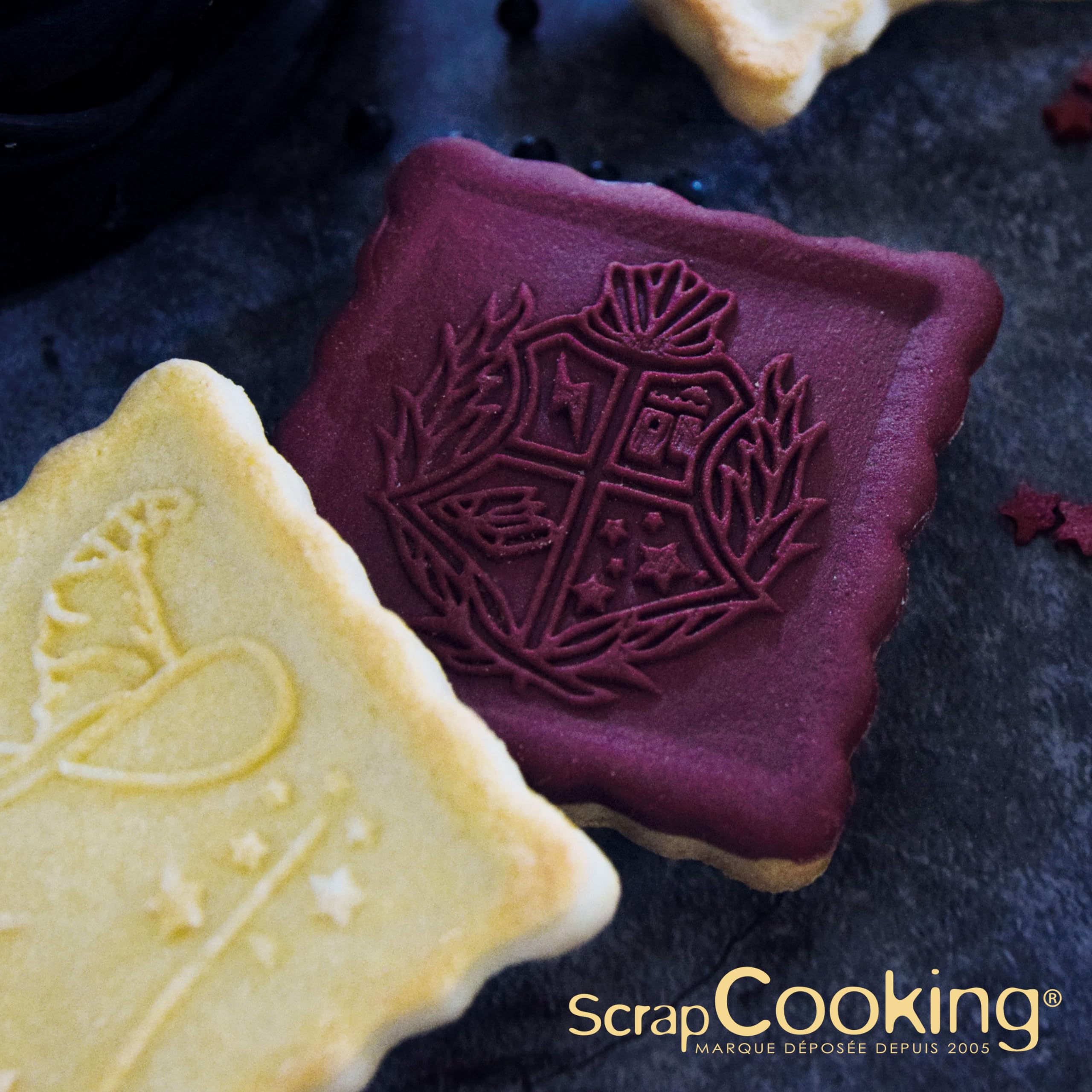 scrapcooking-mat-riel-kit-tampon-biscuit-sorcier-d-coupoir image 7