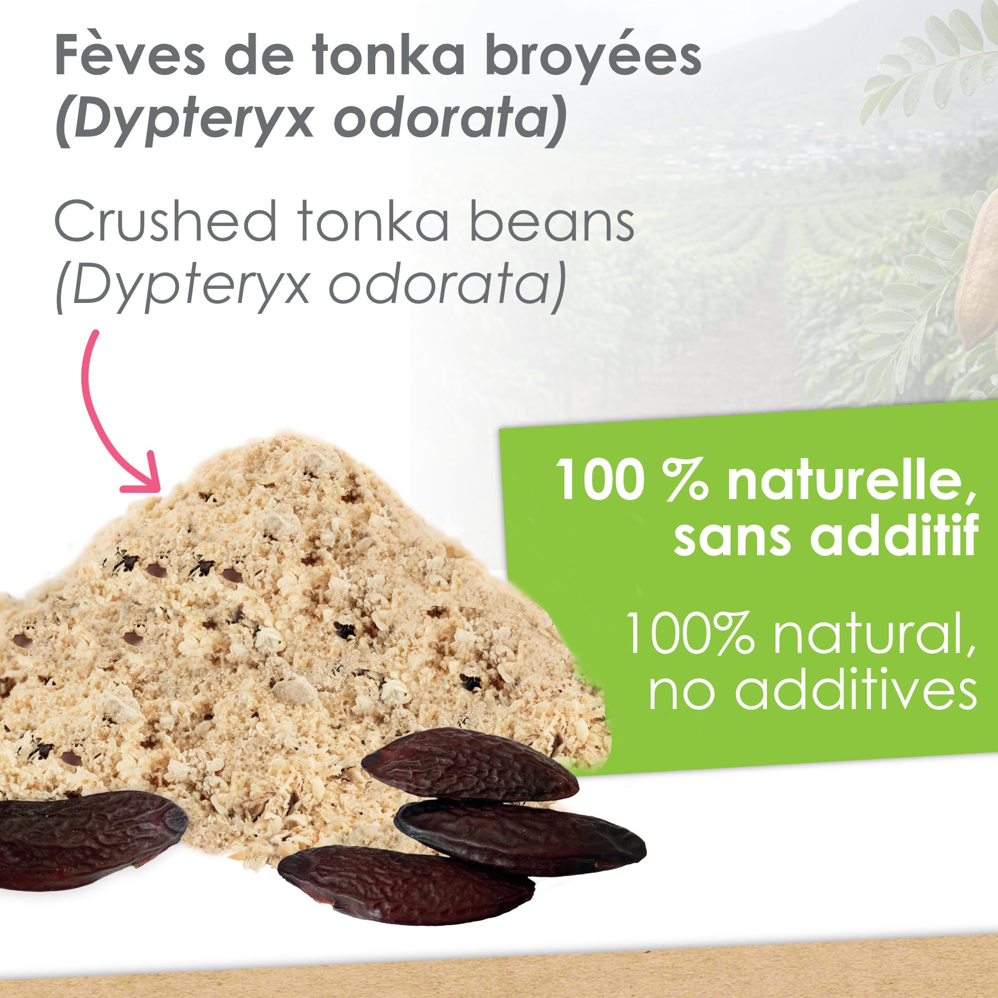 scrapcooking-ingr-dients-4808-f-ve-tonka-poudre-15-g-naturelle image 3