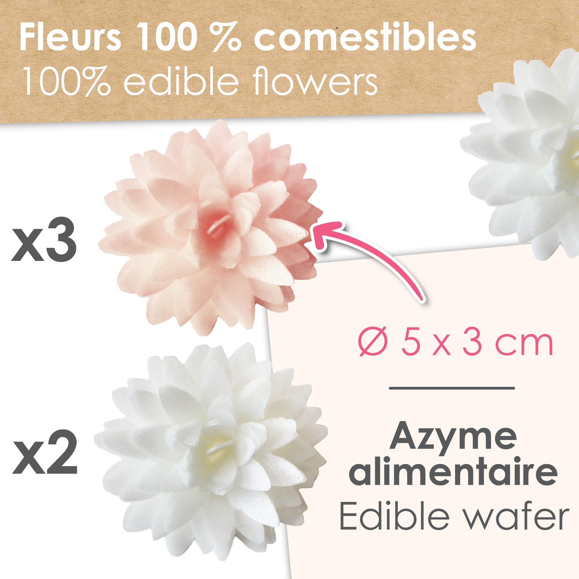 scrapcooking-d-corations-5-dahlias-2297-fleur-comestible-rose-pastel image 3