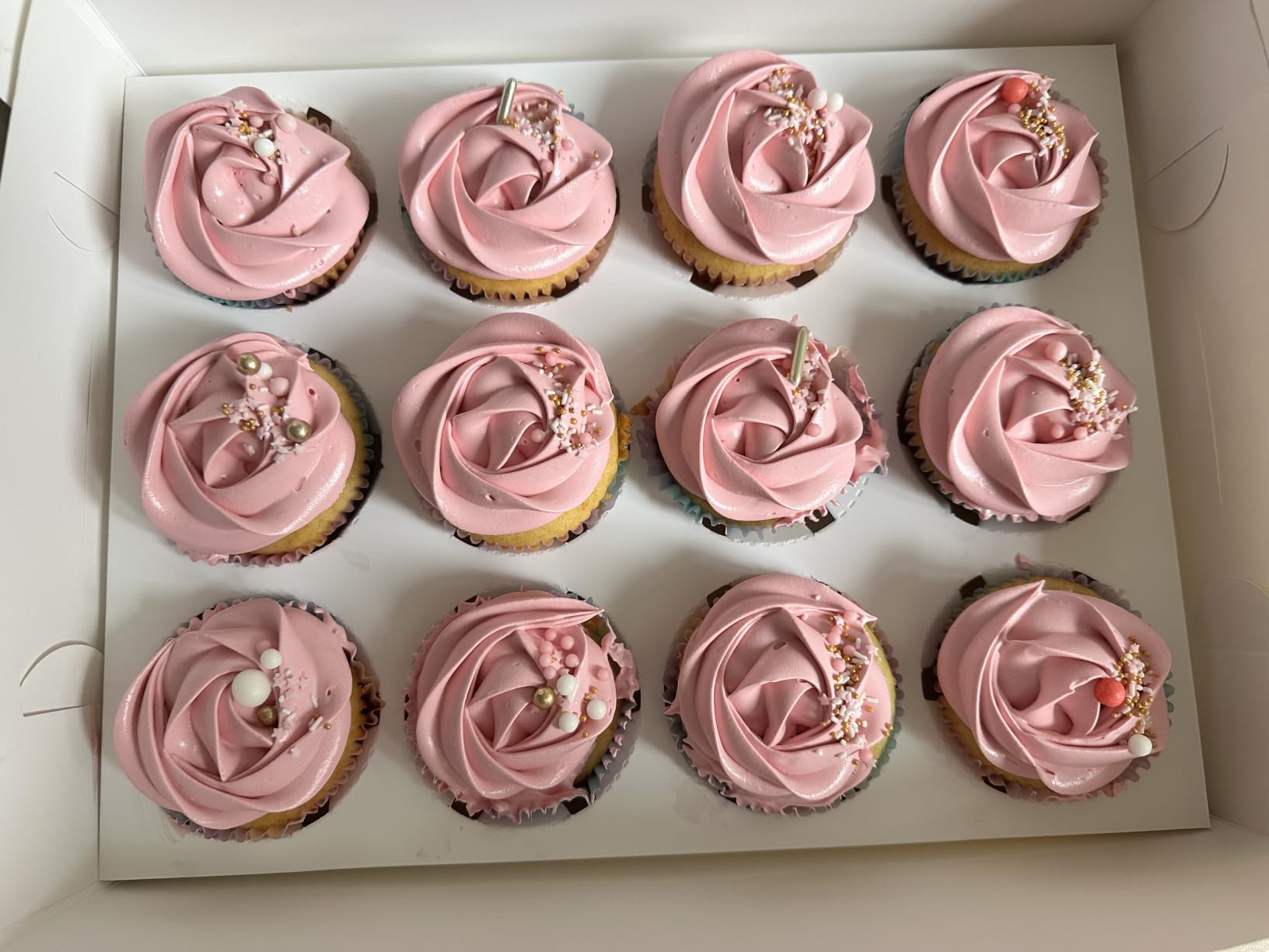 Joli rose