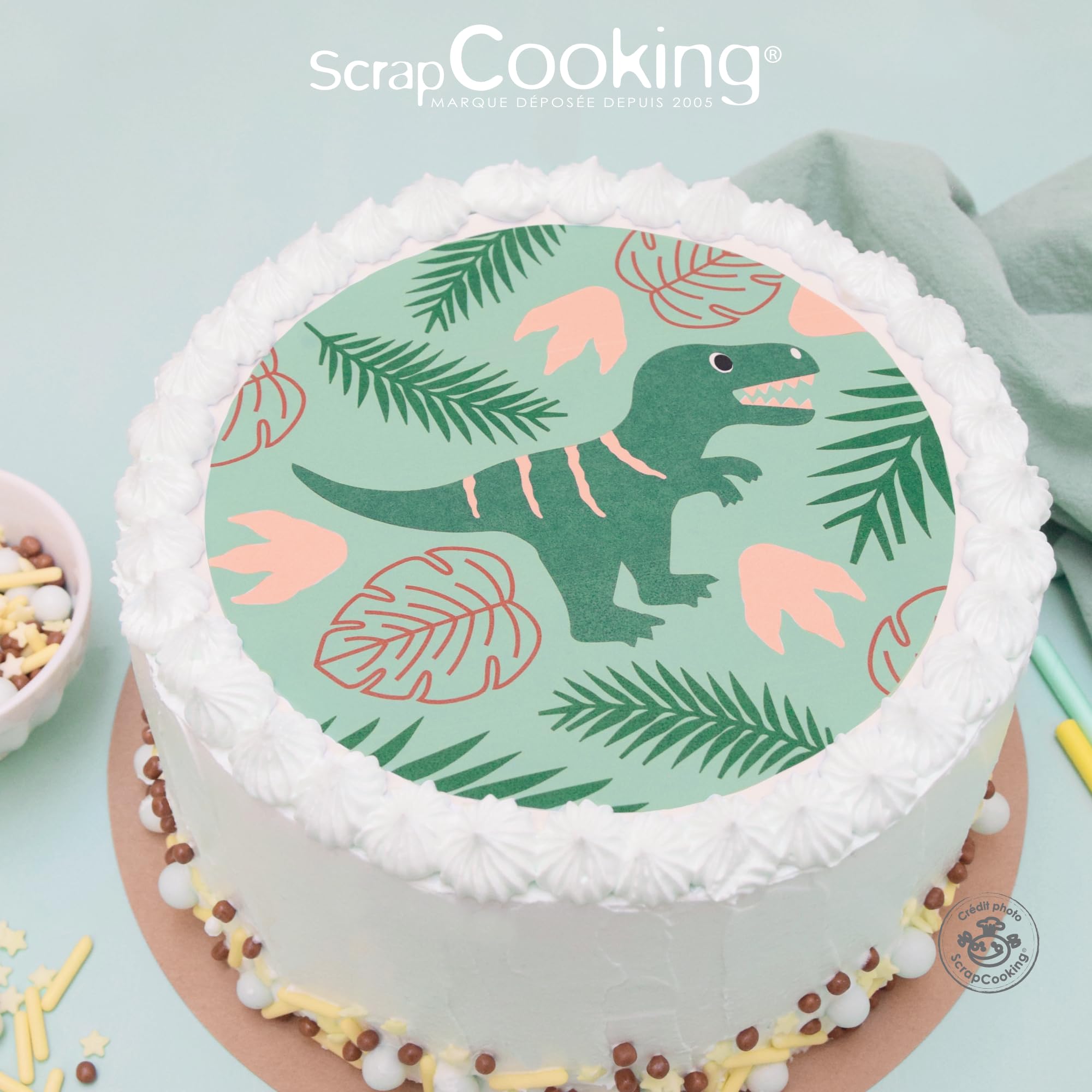scrapcooking-p-tes-sucre-7331-disque-dino-vert-18-cm-45-g image 4