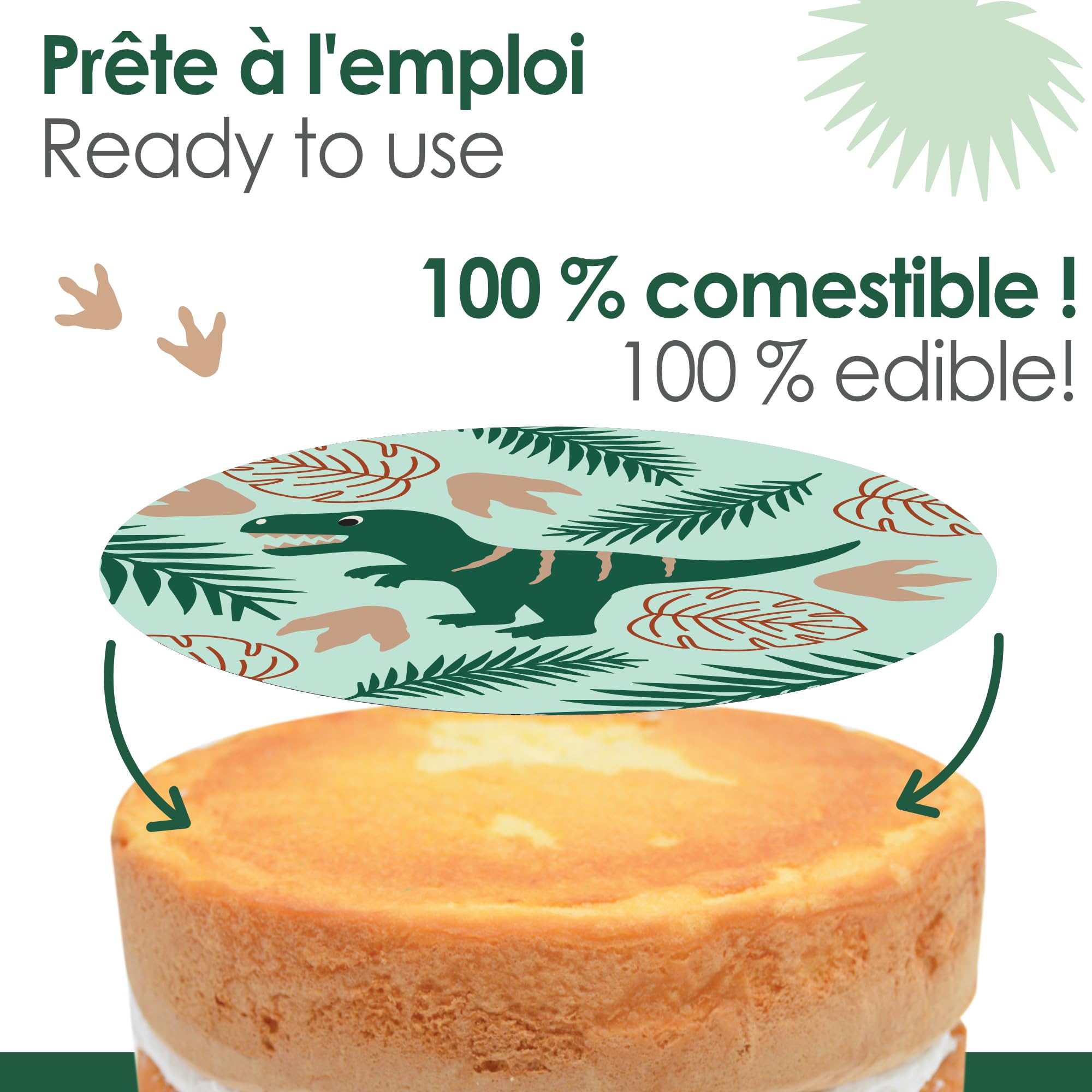 scrapcooking-p-tes-sucre-7331-disque-dino-vert-18-cm-45-g image 3